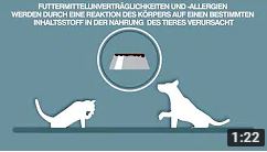 Allergenarme Rezeptur